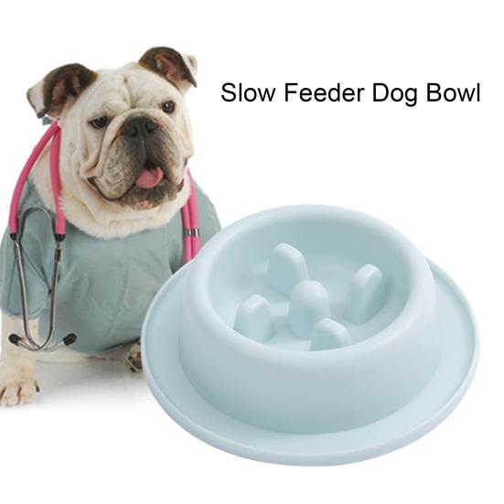 Pet Feeding Bowl Non-Slip Easy To Clean Safe Anti-Choking Cat Dog Slow Food Feeder Bowl Pet Supplies