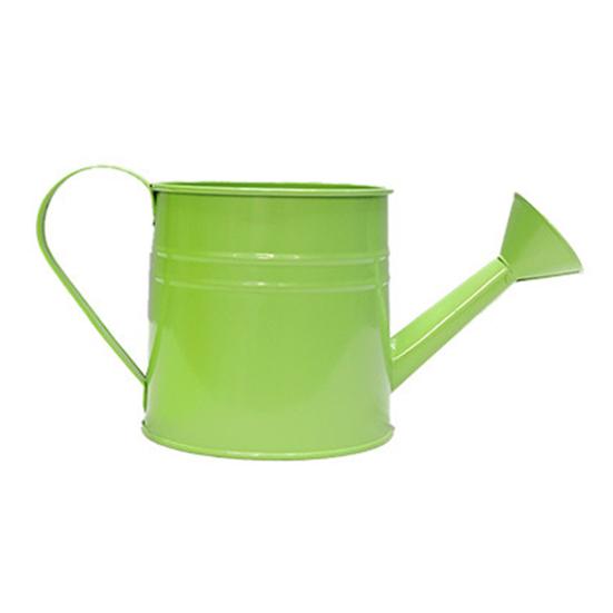 Металлическая лейка Длинный горшок с распылительной насадкой Лейка для полива Садовая лейка светло-зеленый