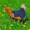 Chicken Saddles Vest for Back Wing Protections Tear Resistant Poultry Apron for Farm Coops Flocks Everyday Wear