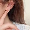 Utsökta Zirkonörhängen Dam Sommarörhängen Nischdesignörhängen Trendiga Lätt Lyx High-End Accessoarer