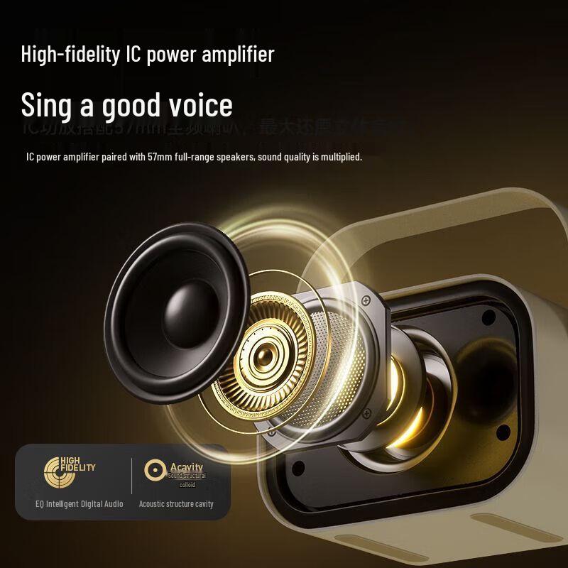 Philips TAS2808 Portable K-Song Microphone & Bluetooth Speaker