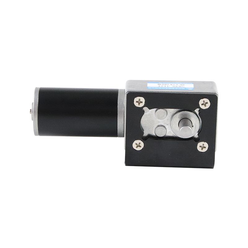 Mingyang 12V/24V Mini DC High Torque 5840-31ZY Worm Gear Motor with Adjustable Speed