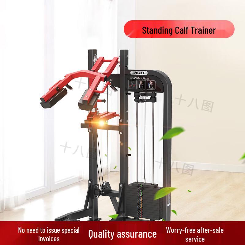 Commercial Gym Strength Training Equipment