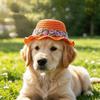 Yousheng Pet Straw Hat, Embroidered Floral Summer Cat Hat, Woven Scalloped Edge Pet Sun Hat with Adjustable Strap for Cats And Small Dogs