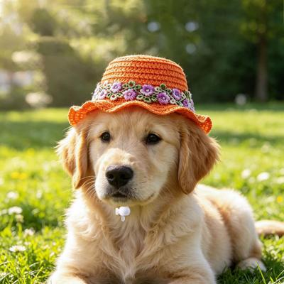 Yousheng Pet Straw Hat, Embroidered Floral Summer Cat Hat, Woven Scalloped Edge Pet Sun Hat with Adjustable Strap for Cats And Small Dogs