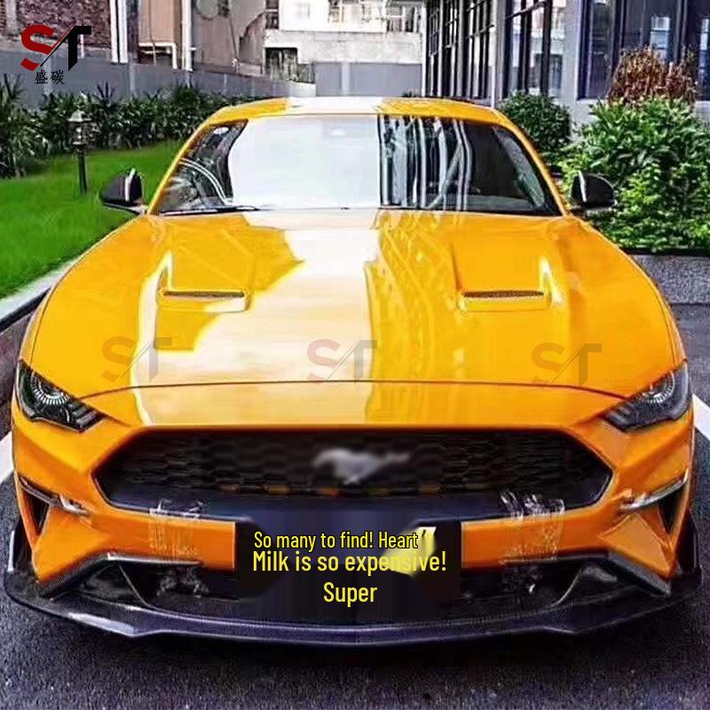 Carbon Fiber Front Lip & Splitter Kit for 18-22 Ford Mustang