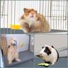 Guinea Pig Cage  Washable Guinea  Pad Reusable and Non  Urinary Pad for Guinea Pig  Dog Bed Small Animal