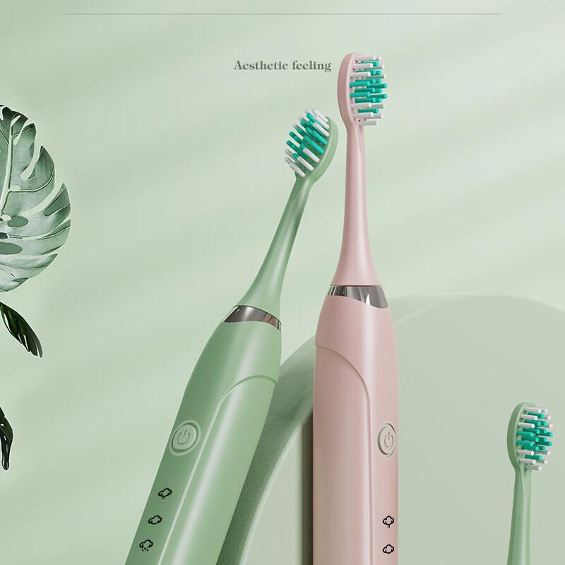 Chang Baosen S6 Sonic Vibrating Electric Toothbrush CN plug (adapter included)
