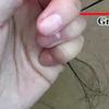 Aiguille de Rerooting 0,6 mm 0,8 mm Cheveux de Poupée Repeinte Tête de Poupée Outils d'Enracinement de Cheveux Reborn Fournitures et Accessoires pour la Fabrication de Perruques