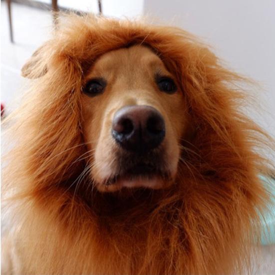 Pet Costume Funny Lion Mane Wig Headgear Hat Halloween Festival Decor for Dog