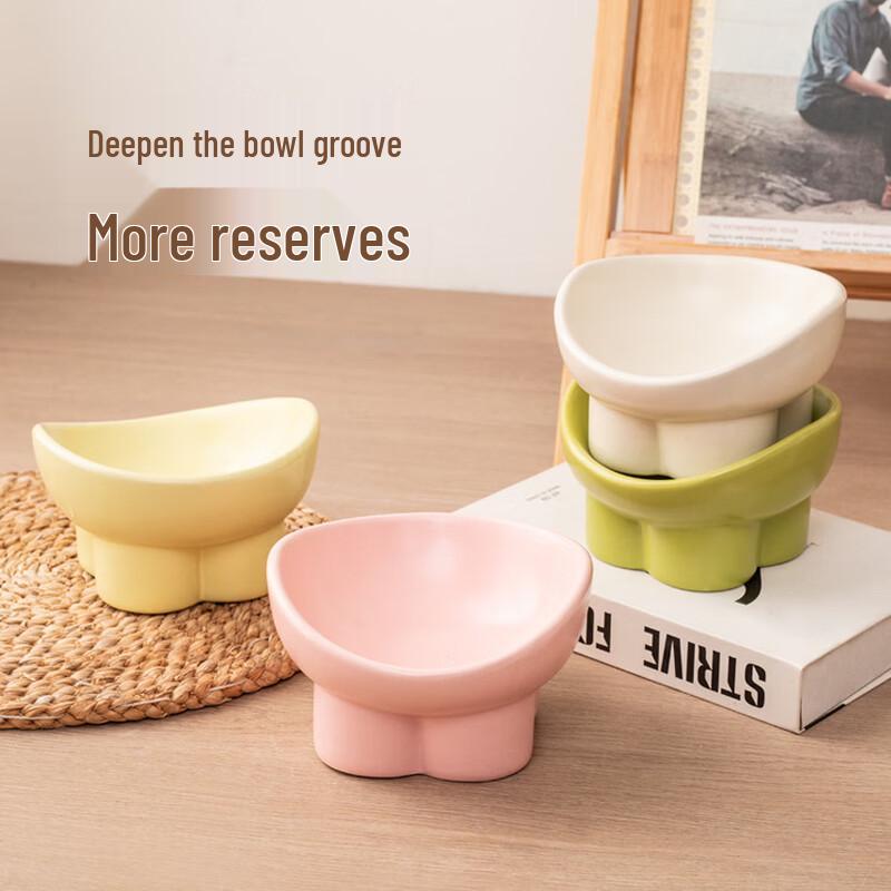 Changbaosen Ceramic Elevated Slanted Pet Bowl
