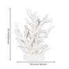 Branching Coral Ornament Stable Artificial with Base Textured for Home Décor, Tabletop