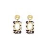 Silver Needle Geometric Leopard Print Earrings - Trendy Retro Studs for Women