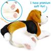 VIAHART Tiger Tale Toys Câine Beagle Mare de Pluș Realist Jucărie Câine de Companie Așezat, 12 inch (30cm) (12 inch)