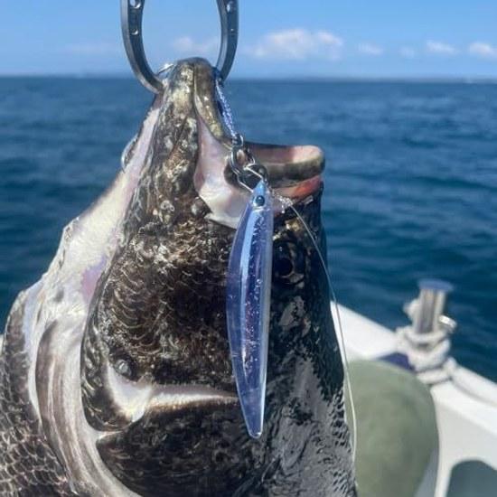 Jackson Clear S Offshore 85mm MCI Micro Sardine