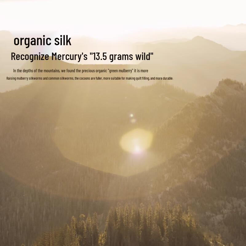 Mercury Home Textiles 100% Tussah Silk Quilt