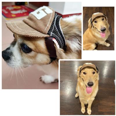 Dog Baseball Cap Letter G Adjustable Pet Summer Caps Sun Hat