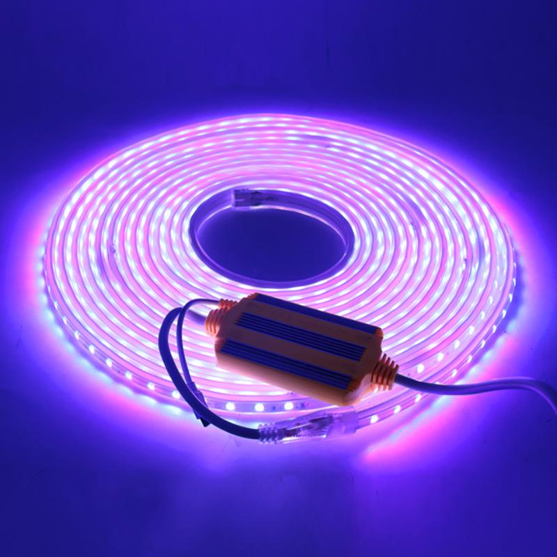 Kontroler LED RGB Wtyczka EU 220V 16 Kolorów 4PIN Złącze 12MM 5050 Pilot 24 Przyciski Kontroler RGB Magic Home