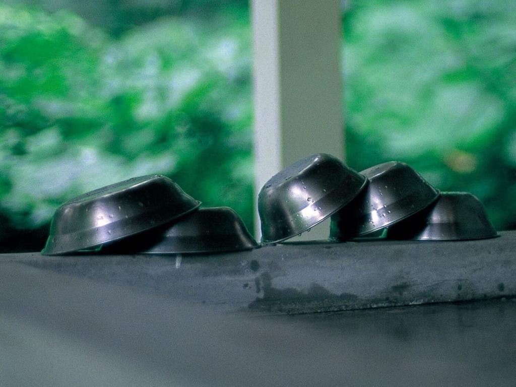 Snow Peak SP Tableware Stainless Large Bowl, Steel, TW-031,