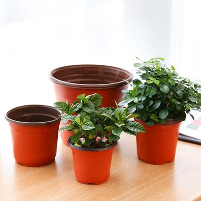Plastic Flowerpot Planting Seeds Pot Cultivation For Succulent Small Plant Pot Thickened Nursery Pots Garden Accessories