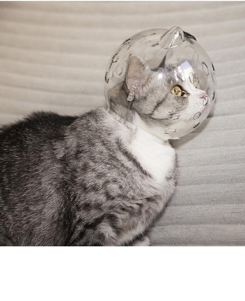Pet Cat Transparent Space Helmet - Breathable Anti-Scratch Bite-Resistant Design with Cat Ears