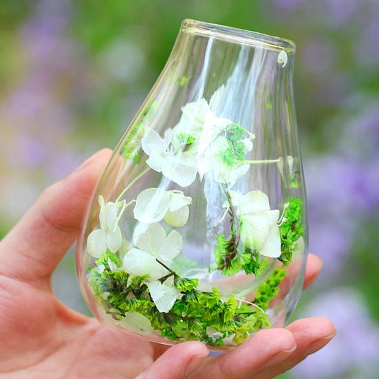 Mini Glass Decorative Bottle with Dried Flowers Compact Transparent Floral Ornament for Desk Bedside Window Sill Double Wall Hydroponic Vase Home