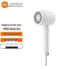 Xiaomi H300 Negative Ion Hair Dryer CN Plug (adapter Included)
