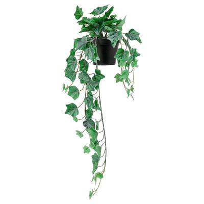 Artificial Type 69 Cm Hedera IKEA/IKEA FEJKA Houseplant/hanging (104.611.52)