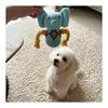 Dog Toy Stuffed Toy Rope [Fangs & Sounds] Dental Care Chew Toy Stress Relief Natural Cotton Durable for Small Dogs, Ultra Small Dogs, Puppies
