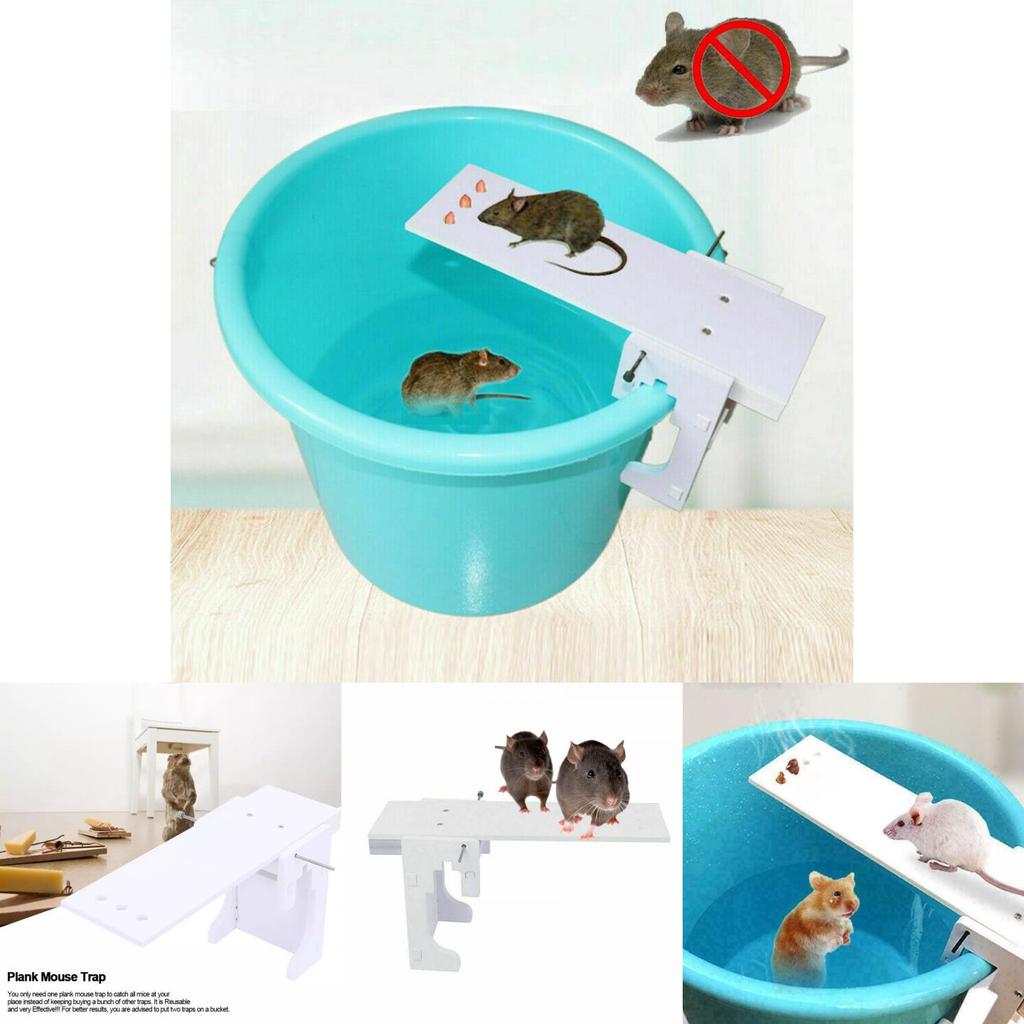 Past Chytit Myš Krysa Past Chytit Prkno Humánní Kbelík Myši Auto Nový Reset