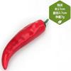 Sztuczne Dekoracje Kolorowe Bąbelki Symulacja Warzyw Kapusta Rzodkiewka Pomidor Szczypiorek Chilli Model Fotografia 5 szt./partia