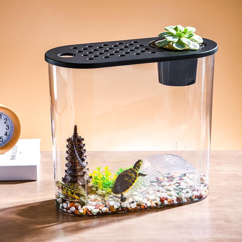 Clear Oval Desktop Fish Tank & Turtle Habitat Ornament