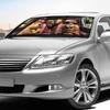 Creative Animal Car Sunshade - Cute Dog Sticker Package