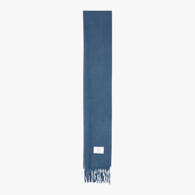PINK PINEAPPLE PLUSH WOOL MUFFLER_BLUE