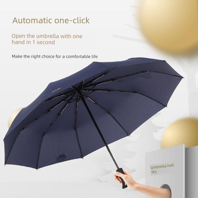 Paradise Umbrella Fully Automatic Umbrella with Ten Ribs, Fully Steel Reinforced, Foldable, Portable, Solid Color, One-Touch Open and Close