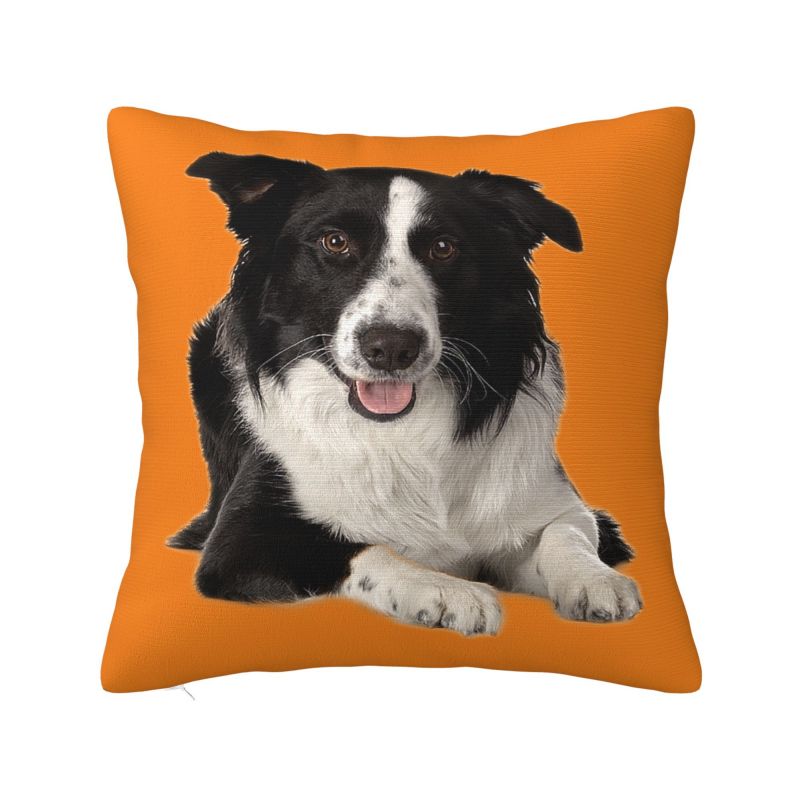 French Bulldog Cushion Cover 45x45cm Frenchie Dog Velvet Luxury Throw Pillow Case for Sofa