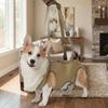 Adjustable Pet Auxiliary Vest Soft Lining Full Body Support Support Harness Thicken Handle Mobility Aid Dog Chest Back Leash