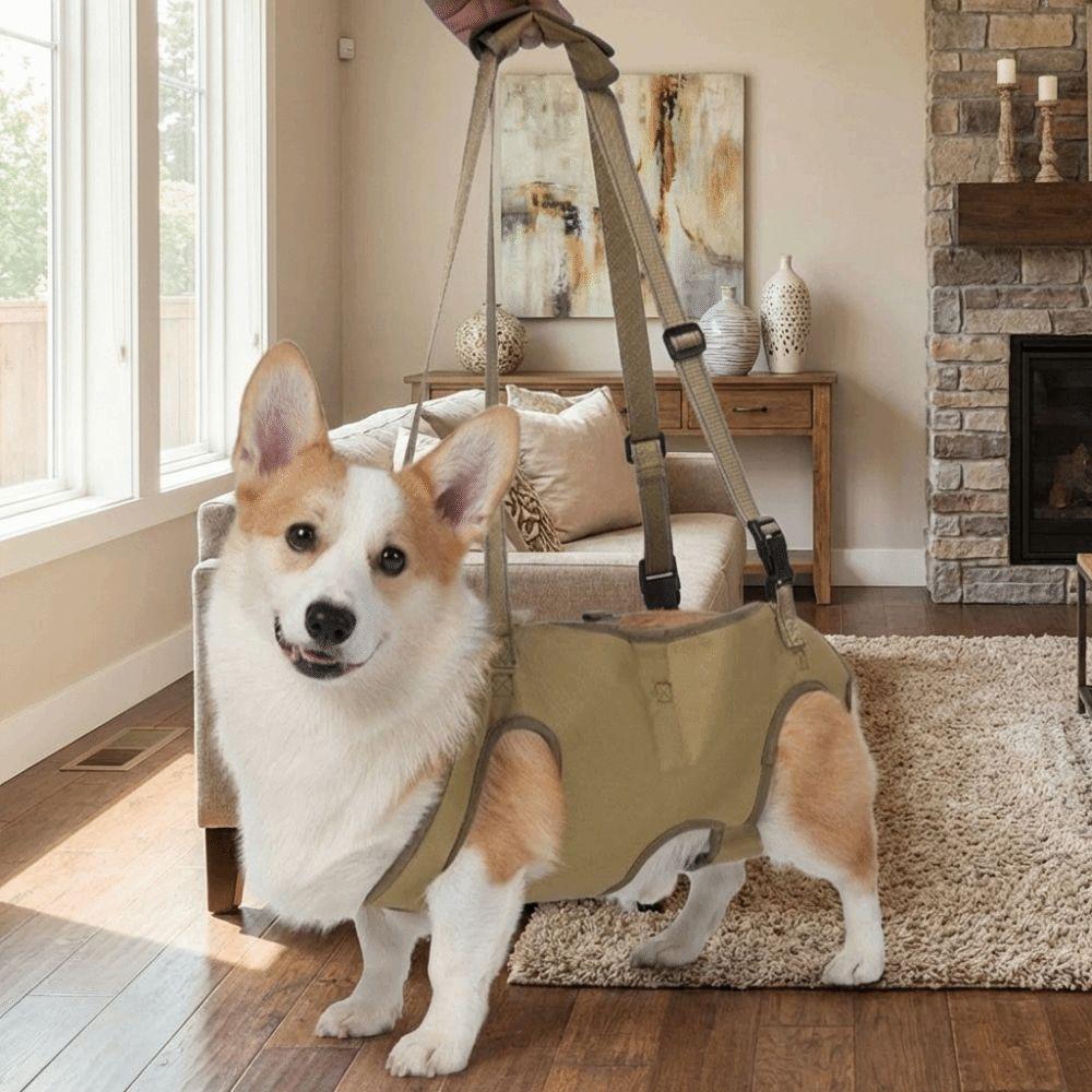Adjustable Pet Auxiliary Vest Soft Lining Full Body Support Support Harness Thicken Handle Mobility Aid Dog Chest Back Leash