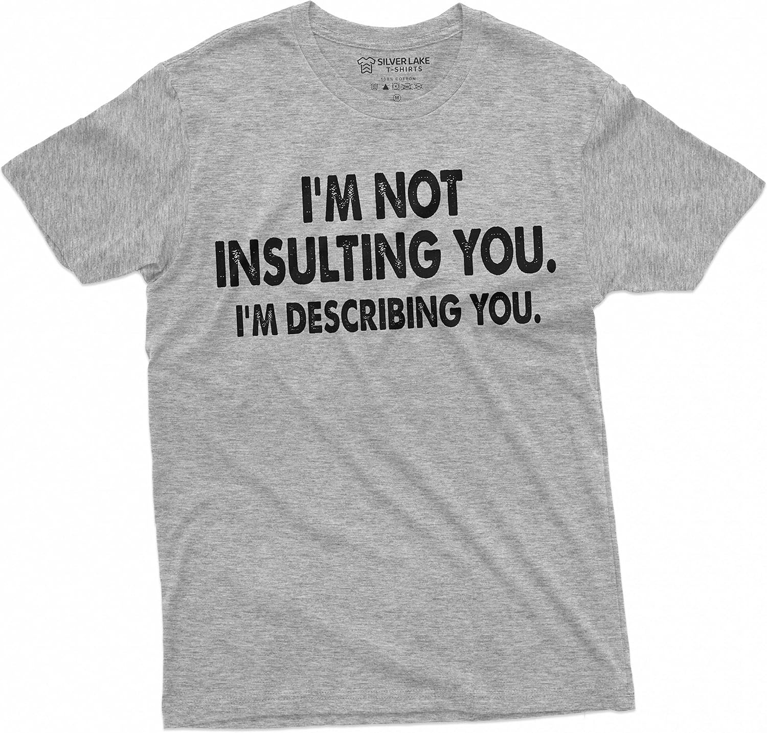 

Men s Funny I am not Insulting You T-Shirt Humorous Saying Text Tee Shirt 5XL різнокольоровий