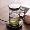 Shangqi Borosilicate Glass Tea Infuser Mug 500ml