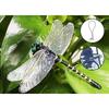 [Nearly Realistic Size] 2025 Dragonfly Model, Insect and Bee Repellent Figure, Plastic Model, with Strap and Safety Pin, PVC Material, Perfect for Hom