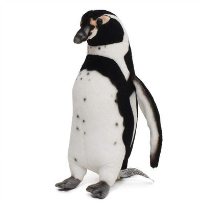 Humboldt Pengueni 23 BH7093
