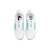 New Nike Air Zoom Pegasus 38 White Aurora Green Women's CW7358-102