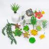 Set0873 Simulation Succulent Plant Set Mixed With Home Bonsai Shopping Mall Decoration Shooting Props