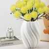 Nordic Wave Shaped Plastic Vase High-end Home Decoration Flower Arrangement Decoration White Water Cultivation Vase