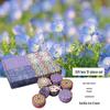 Southeast Asia Osmanthus Scented Candle Gift Set - Soy Wax Dried Flower Tin