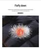 Trendy Warm Stand Collar Solid Color Down Jacket
