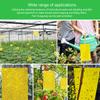20/40/60/80/100Pcs Strong Flies Traps Bugs Sticky Board Catching Aphid Insects Pest Killer