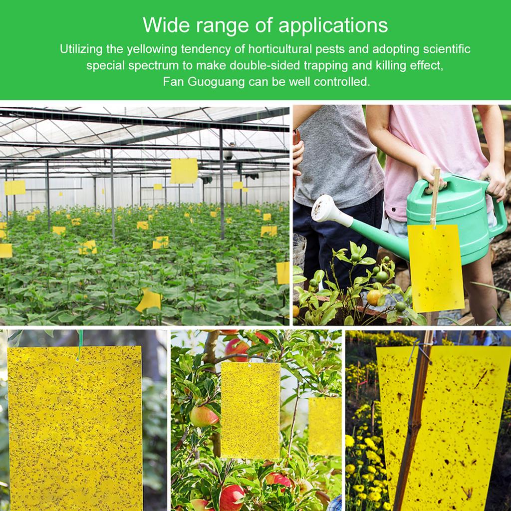 20/40/60/80/100Pcs Strong Flies Traps Bugs Sticky Board Catching Aphid Insects Pest Killer