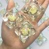 100 pièces de Perles de Lavage Camélia | Gousses 8X Concentrées | Nettoyage en Profondeur V2